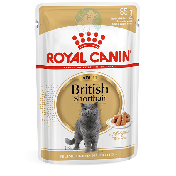پوچ گربه نژاد بریتیش بالغ Royal canin